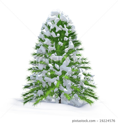 Christmas tree and fresh snow Christmas tree and fresh snow 19224576