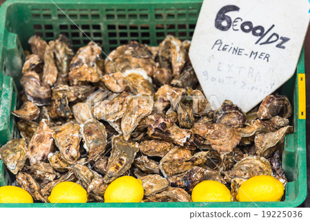 Oysters market in Cancale, France 19225036