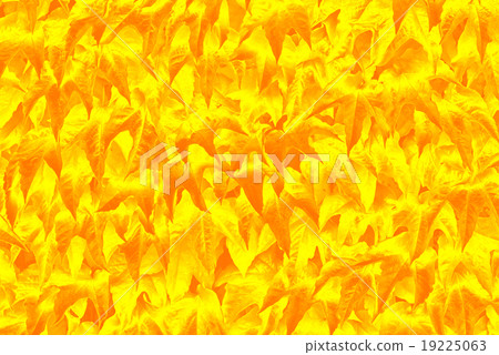yellow leaf background 19225063
