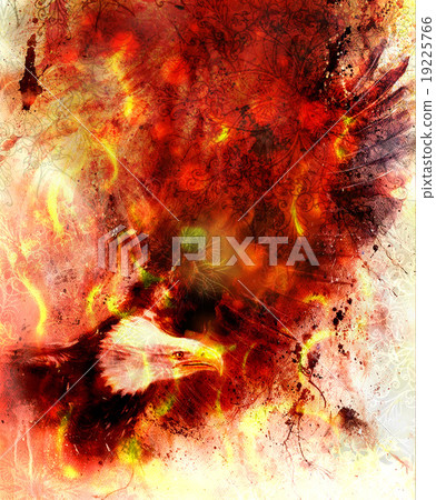 beautiful painting of eagle on an abstract 19225766