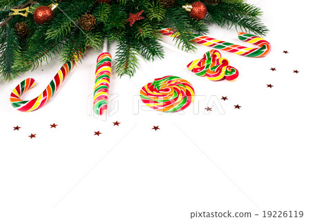 Christmas tree branches 19226119