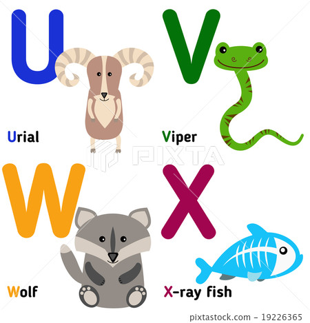 Cute zoo alphabet in vector. U, v, w, x. Funny car Cute zoo alphabet in vector. U, v, w, x. Funny car 19226365