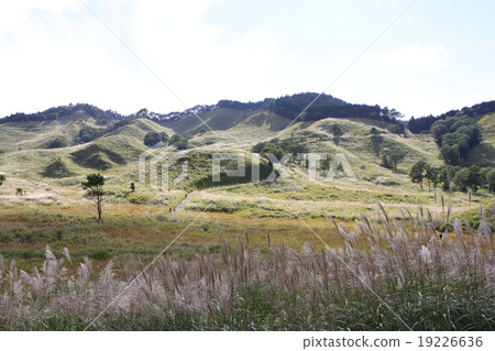 Tonomine Plateau　 19226636