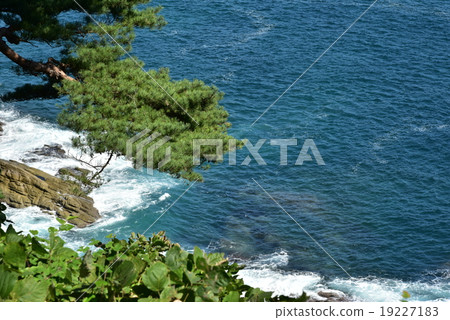 Funakoshi Bay seen from the Observatory 19227183