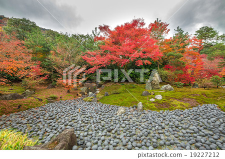 Autumn jokokuin 19227212