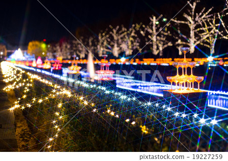 昭和紀念公園冬季Vista照明2015 昭和紀念公園冬季Vista照明2015 19227259