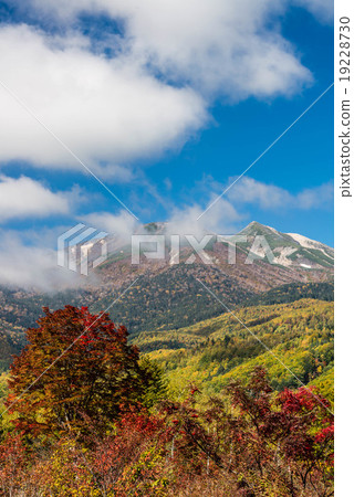 Autumn leaves of Norikura Kogen 19228730
