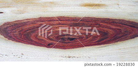 wood texture background 19228830
