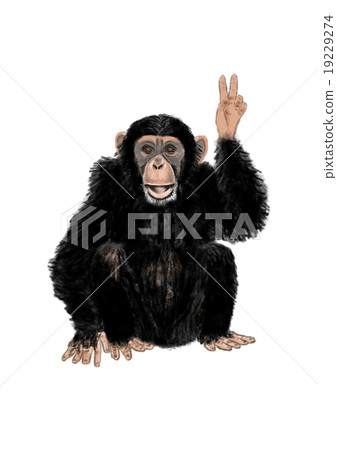 Peace様用です°・*:.。.☆ Peace Sign Chimpanzee - Stock Illustration [19229274] - PIXTA