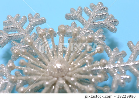 Snowflake Close-up 19229986