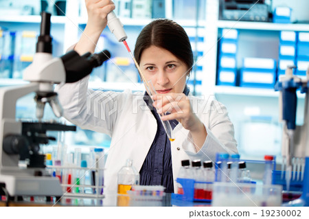 laboratory assistant analyzing a blood sample laboratory assistant analyzing a blood sample 19230002