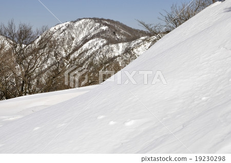 塔Noboro和Mt. Tanzawa的雪墓 19230298
