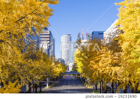 Nagoya city landscape Sakura dori ginkgo row and Nagoya station building group From the Bank of Japan intersection Nagoya city landscape Sakura dori ginkgo row and Nagoya station building group From the Bank of Japan intersection 19231690