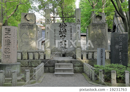 富岡八幡宮 19231763