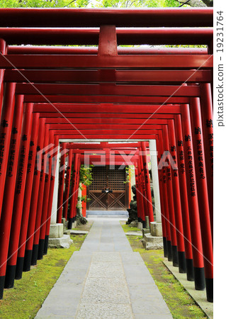 富岡八幡宮 19231764