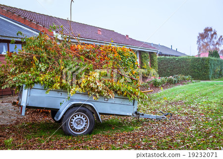 Garden waste in a wagon 19232071