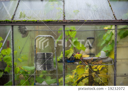 Small greenhouse in the autumn Small greenhouse in the autumn 19232072