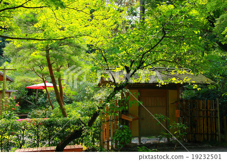Entrance of garden tea room Entrance of garden tea room 19232501