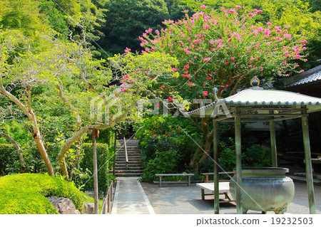 在珍寶盒前面的柑橘 19232503