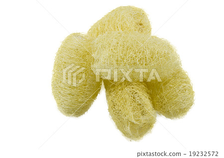 luffa set isolated on white 19232572