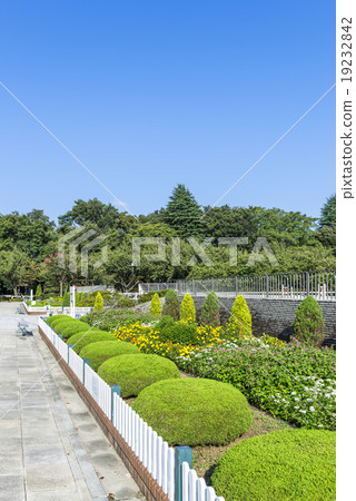 Horse park Horse park 19232842