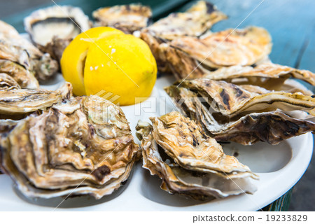 A dozen oysters on a plastic plate A dozen oysters on a plastic plate 19233829