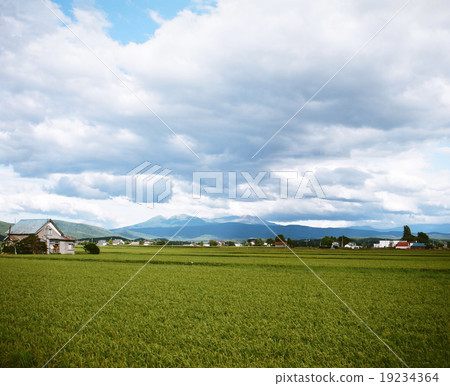 Asahi-dake from Higashikawa-cho 19234364