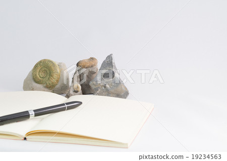 Fossils and notes 19234563