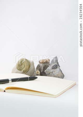 Fossils and notes 19234564