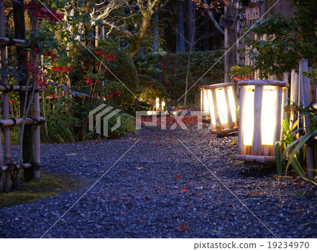 點燃柿子ka 19234970