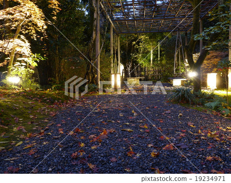 點燃柿子ka 19234971