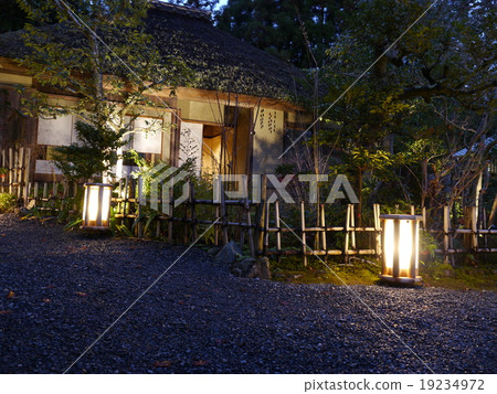 Lamp up of a persimmon ka 19234972