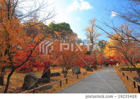 Kyushu Buddha and Buddhist temples autumn leaves 19235488