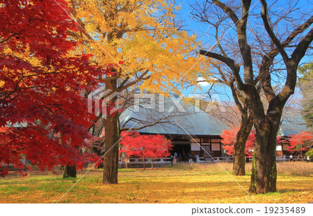 Kujirushi Buddha and Buddha Temple Sanbudo Autumn leaves 19235489