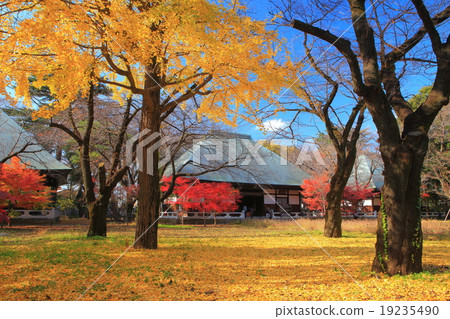 Kujirushi Buddha and Buddha Temple Sanbudo Autumn leaves Kujirushi Buddha and Buddha Temple Sanbudo Autumn leaves 19235490