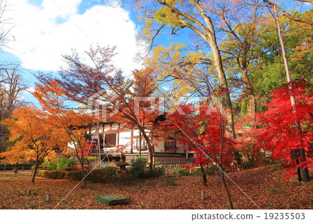 Kujirushi佛教牧師Jun寺秋葉 19235503