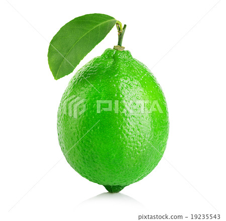 Lime isolated close-up on a white background Lime isolated close-up on a white background 19235543