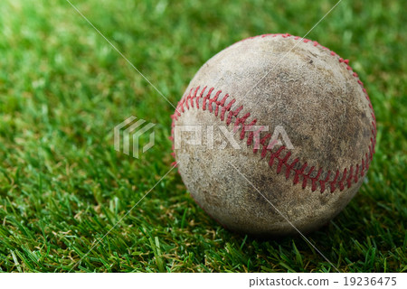 baseball on grass 19236475