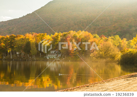 Autumn foliage and reflection in Elmore state park Autumn foliage and reflection in Elmore state park 19236839