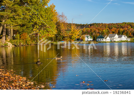 Autumn foliage in Elmore state park in Vermont 19236841