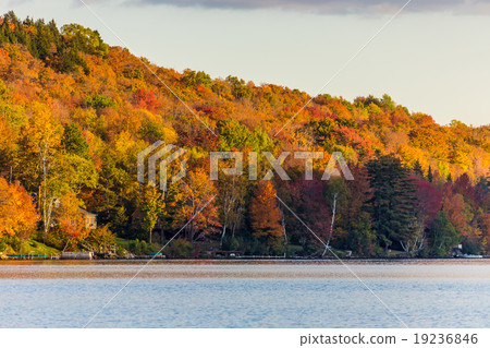 Autumn foliage in Vermont, Elmore state park Autumn foliage in Vermont, Elmore state park 19236846