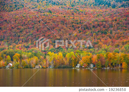 Beautiful autumn foliage and cabins in Vermont 19236858