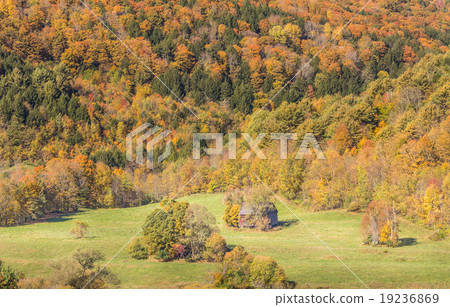 Falls foliage and little hut in Vermont 19236869