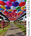 Miracle Garden 19236938