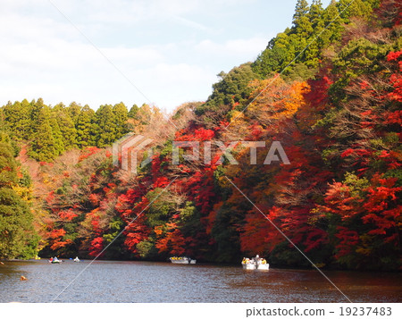 Autumn leaves cruise Autumn leaves cruise 19237483