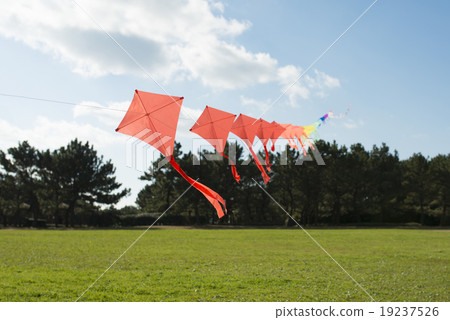 放風箏 19237526