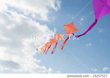 Kite flying 19237527