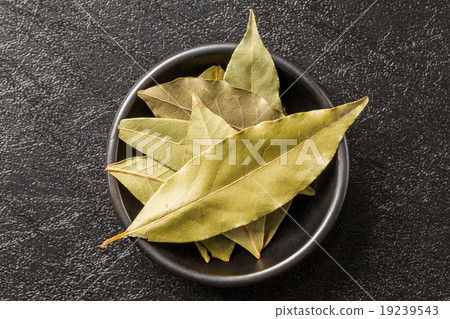Laurel laurel's spice Leaf of the laurel 19239543