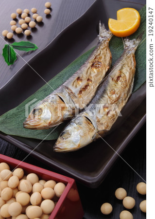 Sardine Setsubun 19240147