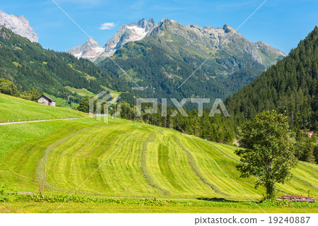 Swiss mountains with green land landscape Swiss mountains with green land landscape 19240887